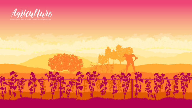 为蔬菜园艺宣传册卡片的苗床图片下载