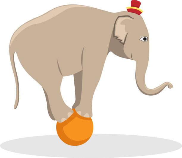 马戏团训练大象在球上图片下载