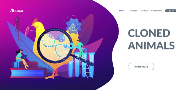 转基因动物概念登陆页面图片下载