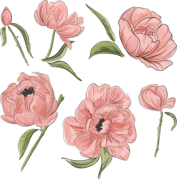 嫩粉牡丹装饰手绘花园图片下载