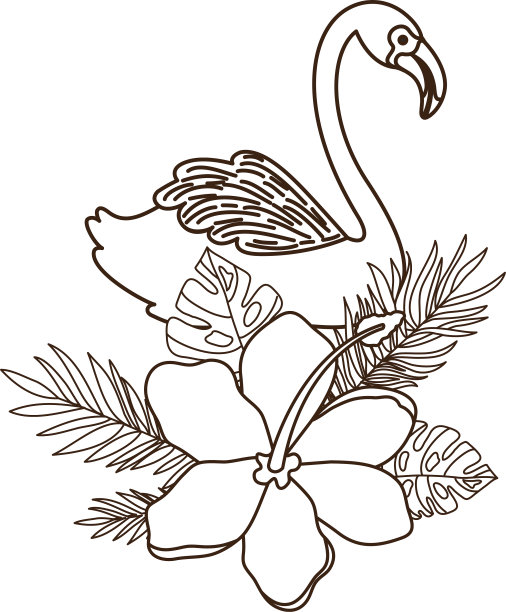 佛兰芒和夏季花在白色的背景图片下载