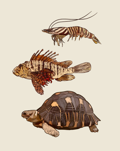 设置动物手绘素描图片下载