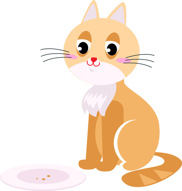 可爱的橙色猫被吃掉了盘子里的所有食物图片下载