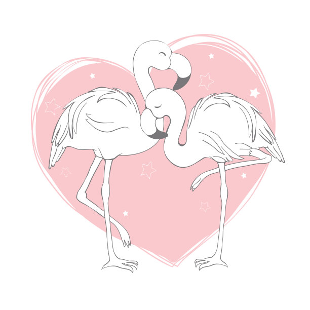 火烈鸟设计的背景图片下载