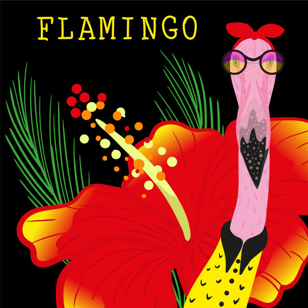 潮人火烈鸟图片下载