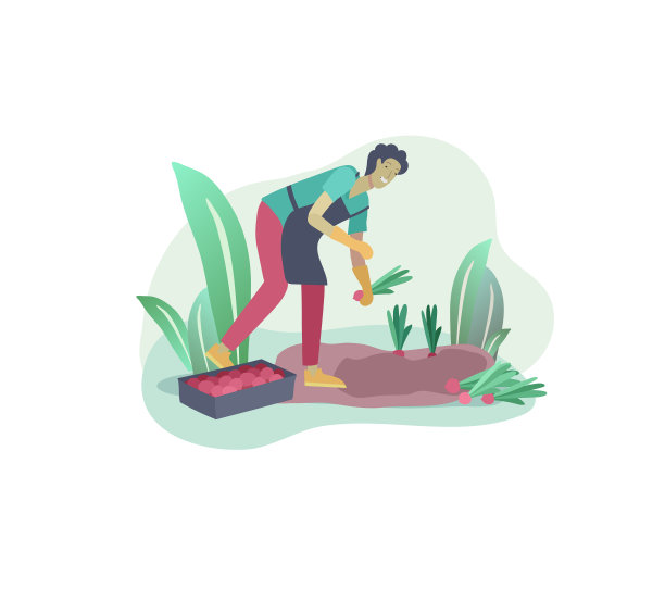 收割和园艺的人们在耕作和图片下载