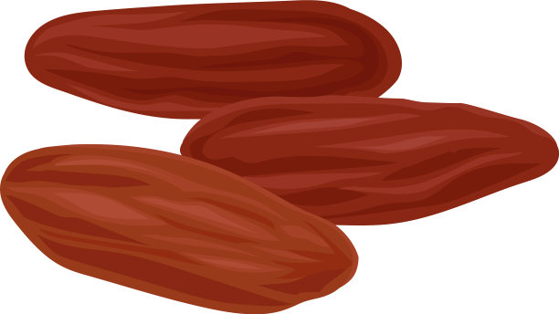 干枣在白色的背景上逼真图片下载