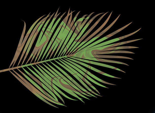 棕榈叶阴影在薄荷淡绿色绿松石液体化妆品水凝胶与圆形涟漪波效应迷幻图案图片下载