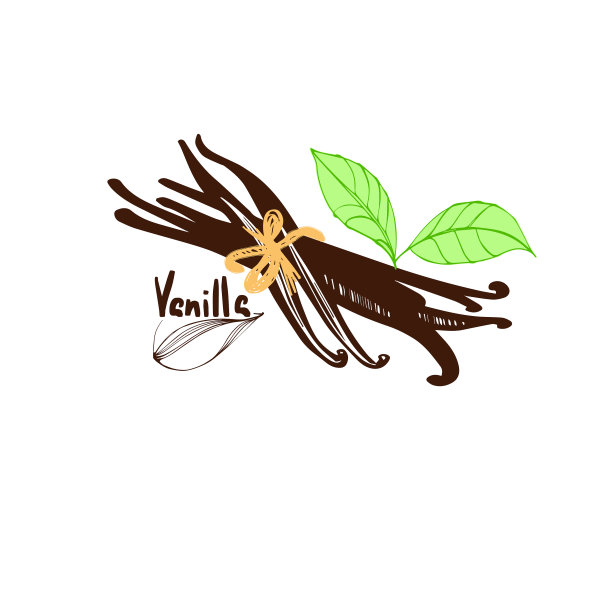 用于烹饪的香草花图片下载