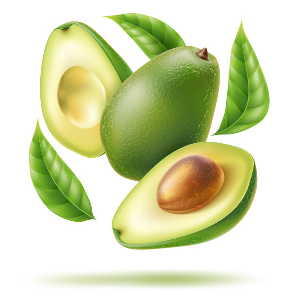 鳄梨叶被切成两半图片下载