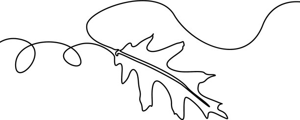 连续一行树叶子图片下载