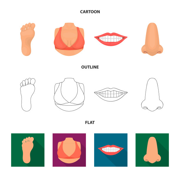的身体和部分图标集图片下载