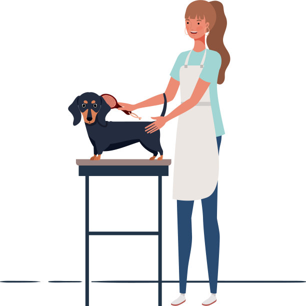 年轻女子在宠物美容师梳理一只狗图片下载