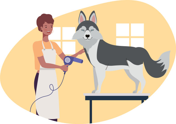 年轻女子与狗在宠物美容图片下载