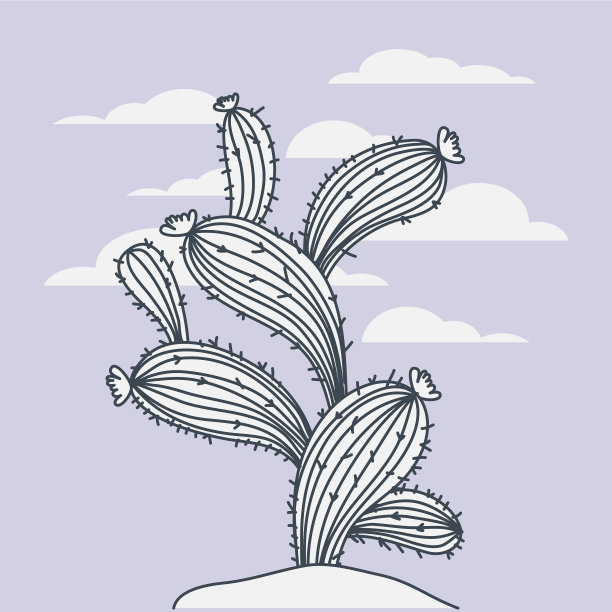 海绵海藻景象图片下载