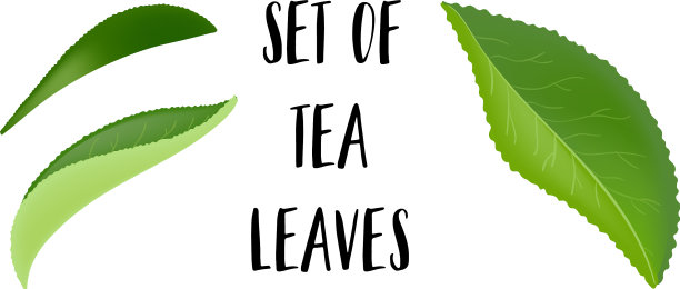 茶叶与滴孤立在白色图片下载