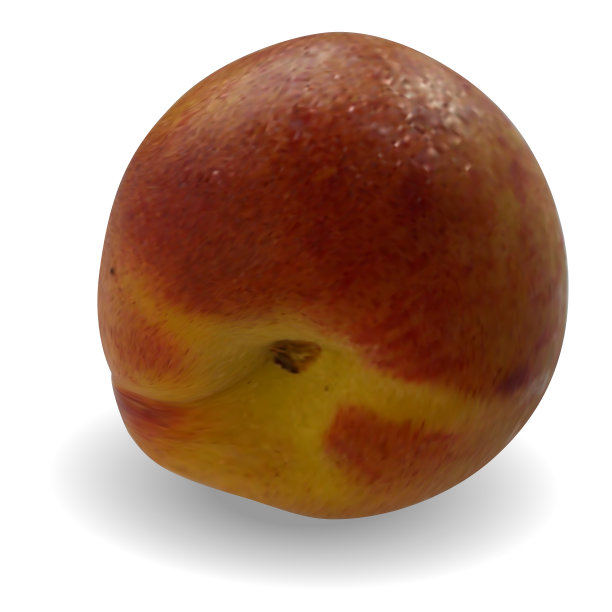 现实成熟的橙粉色桃子孤立图片下载