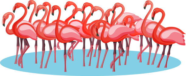 奇异的粉红紫火烈鸟群图片下载