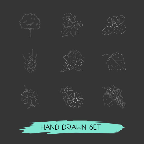 一套植物图标线条风格符号与丁香图片下载