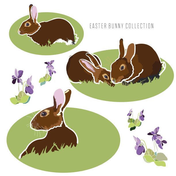 复活节有花和兔子图片下载