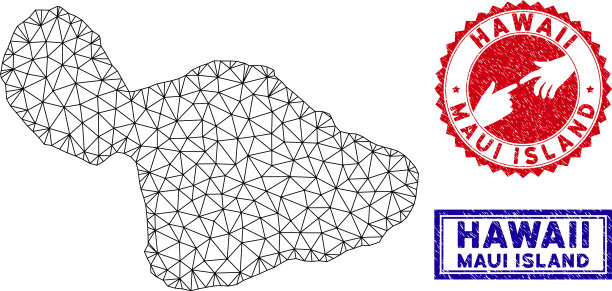 多边形线框架毛伊岛地图和垃圾图片下载