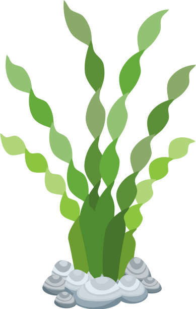 水族箱装饰海藻图标图片下载