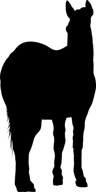 马的轮廓图片下载