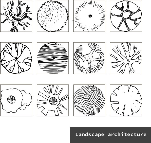 顶部视图设置不同的树手绘图片下载