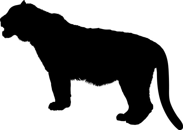 老虎轮廓图片下载