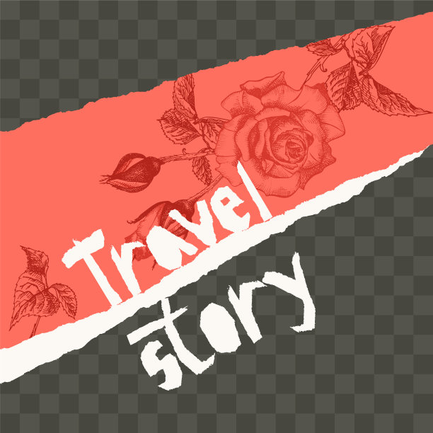 时尚容易编辑的社交媒体模板图片下载