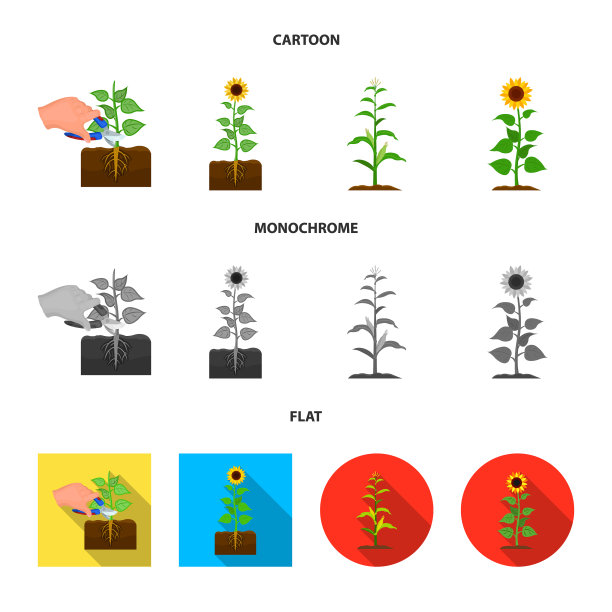 孤立的对象植物和bean图标集合图片下载