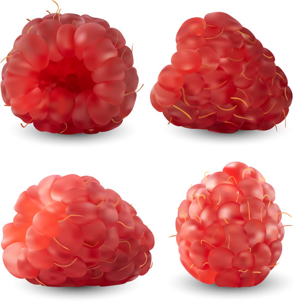 从不同角度的现实树莓图片下载