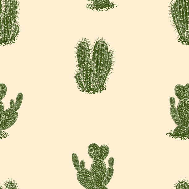 无缝背景绘制的热带仙人掌图片下载