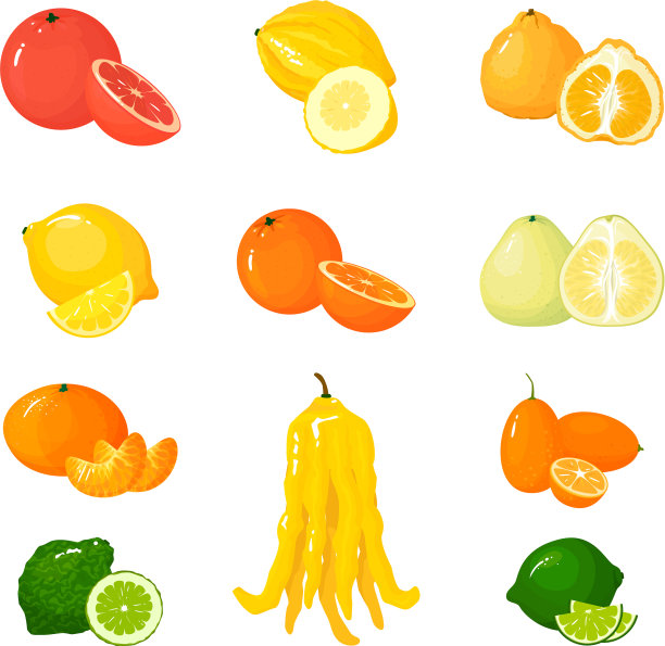 卡通柑橘集图标孤立的水果图片下载
