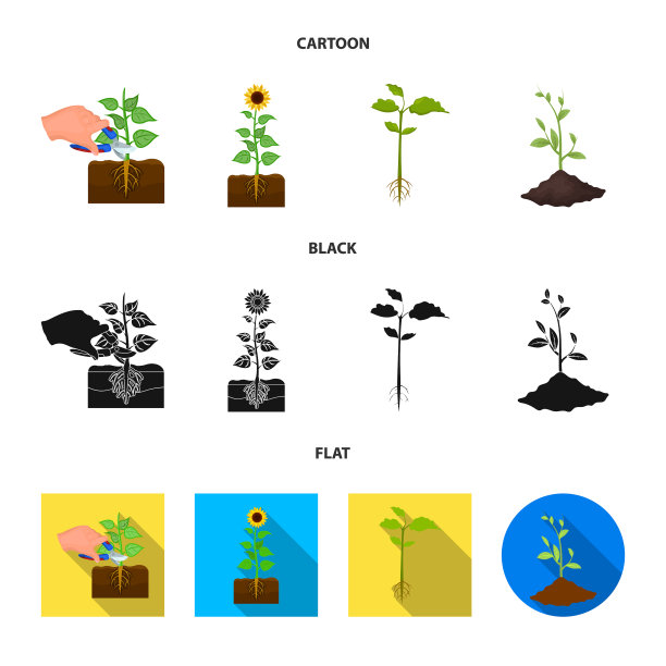 设计植物和豆的图标收集图片下载