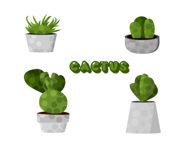 集仙人掌收集家多肉图片下载