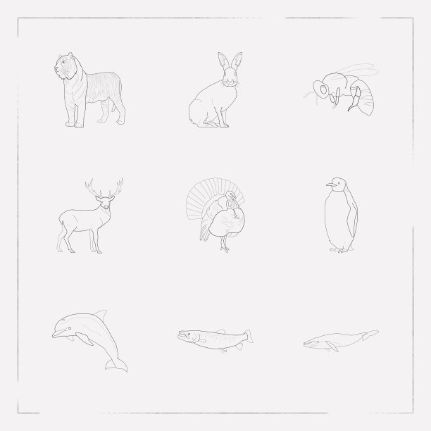 一套活着的图标线条风格的符号与鲑鱼图片下载