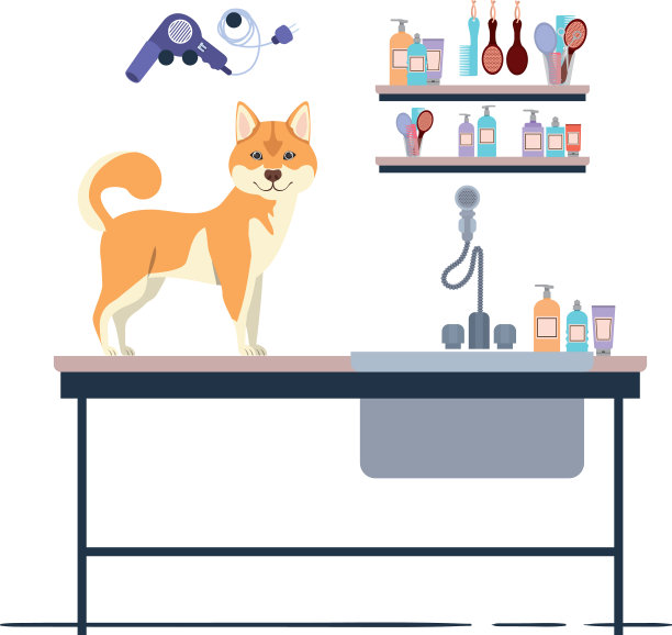 白色背景的美容台上的狗图片下载