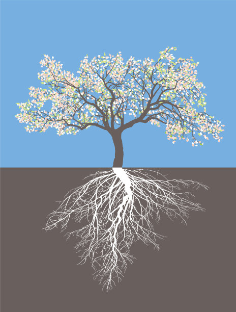 春天长着根的苹果树图片下载