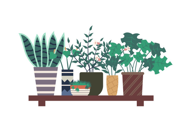 站在架子上的桔树图片下载