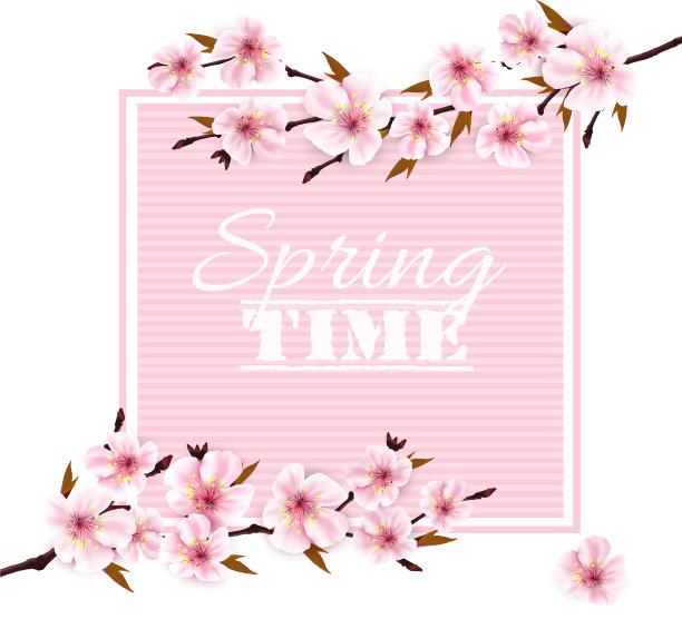 大自然以樱花为背景图片下载