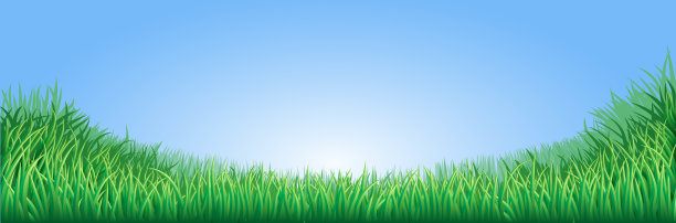 绿色的草地图片下载