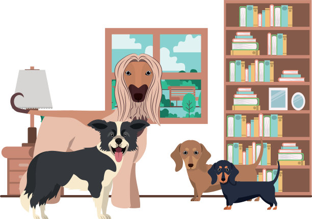 可爱可爱的狗在客厅里图片下载