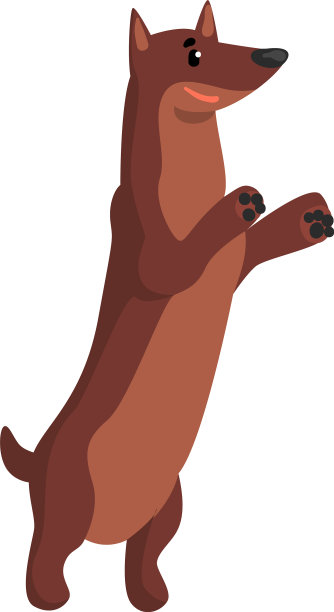 可爱的腊肠狗狗滑稽的宠物性格人图片下载