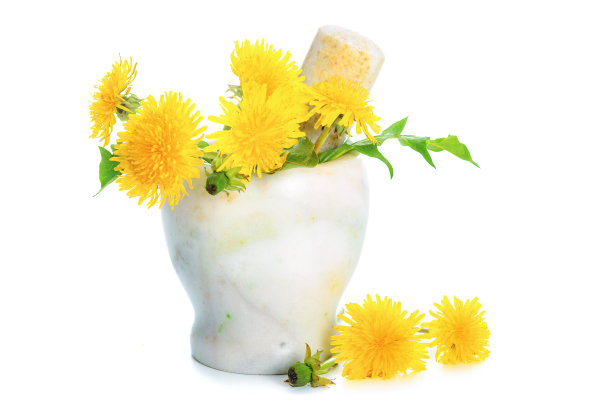 草药的概念图片下载