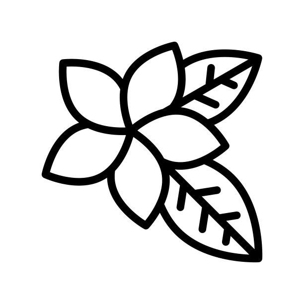 热带鸡蛋花线性图标图片下载