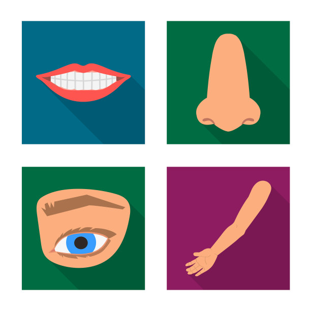 的身体和部分图标集图片下载