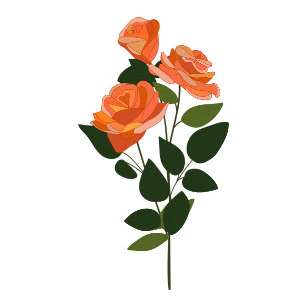 白色背景上的玫瑰图标为三图片下载