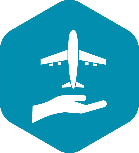 飞机和palm图标简单的风格图片下载