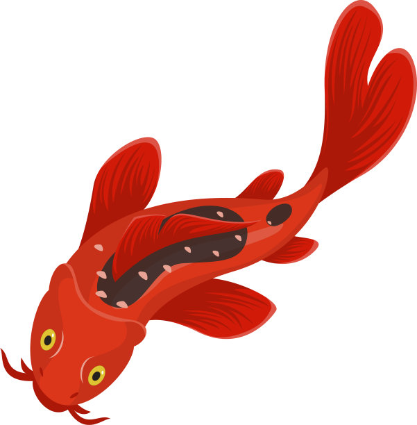 锦鲤鱼象征日本的水和艺术动物图片下载